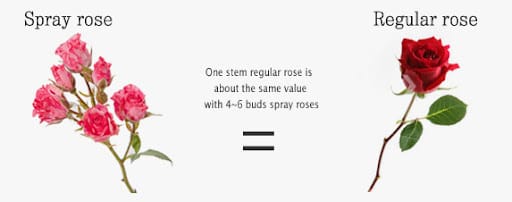 Spray roses vs regular roses bouquet comparison Dubai