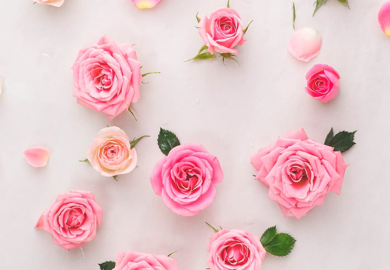 sprayroses vs regular roses goshen flower
