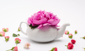 Flower care in Dubai