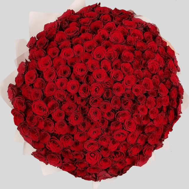 Extravagant 200 red roses bouquet for proposals and VIP gifting in Dubai