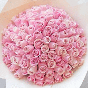 360 pink roses luxury bouquet – same-day flower delivery in Dubai by Goshen Flowers