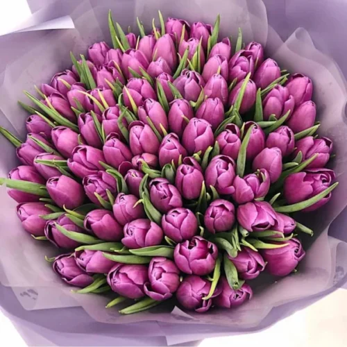 Fresh purple tulips bouquet for Eid gifts and luxury occasions in Dubai