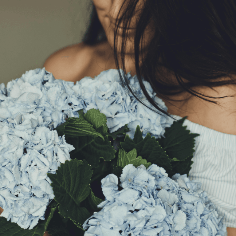 About Us A person holding blue hydrangea flowers in Dubai