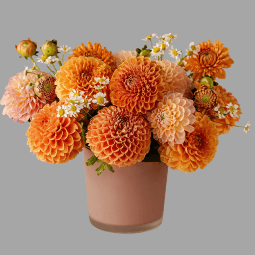 Multicolored dahlia flower arrangement in a modern vase, handcrafted for delivery in Dubai by Goshen Flowers