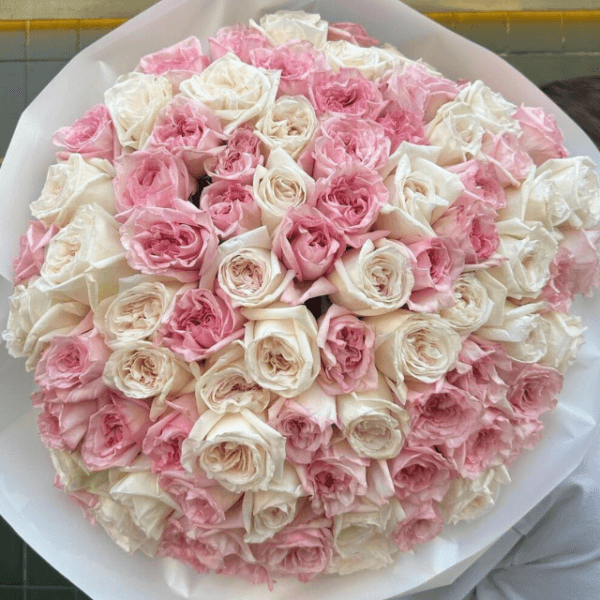 Ohara Roses -Assorted