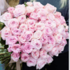 Pink Ohara Roses one of the most liked rose and used a symbol of luxury and elegancy in dubai