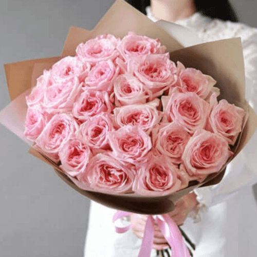 Pink Ohara Roses one of the most liked rose and used a symbol of luxury and elegancy in dubai