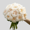 White Ohara Roses goshen flower delivery Dubai