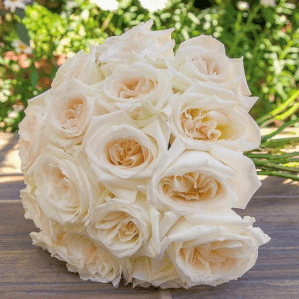 White Ohara Roses goshen flower delivery Dubai