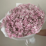 Gypsophila Bouquet Pink – Baby’s Breath for Dubai Weddings & Baby Showers