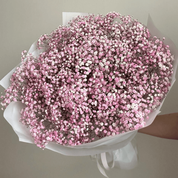 Gypsophila Bouquet Pink – Baby’s Breath for Dubai Weddings & Baby Showers