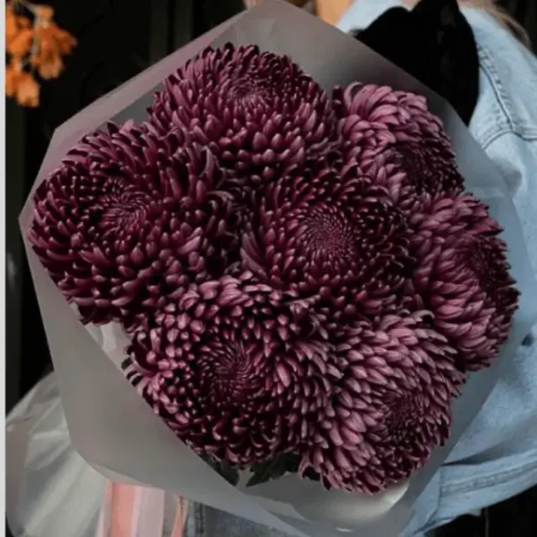 Luxury Chrysanthemum Peony Velvet bouquet with rich red blooms, perfect for same-day flower delivery in Dubai