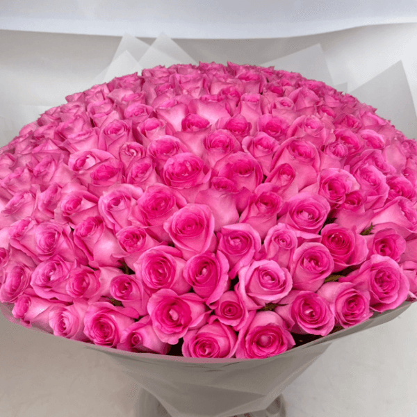 100 Pink roses Goshen Flower dubai