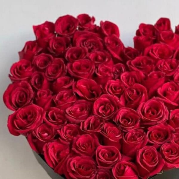 Dubai Royal Heart Roses – Luxury 60 Red Rose Box