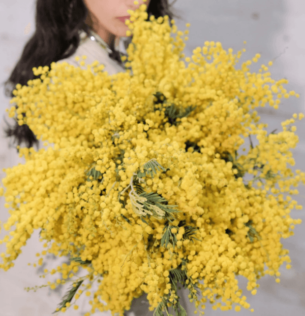 golden-mimosa-woman-holding-flowers