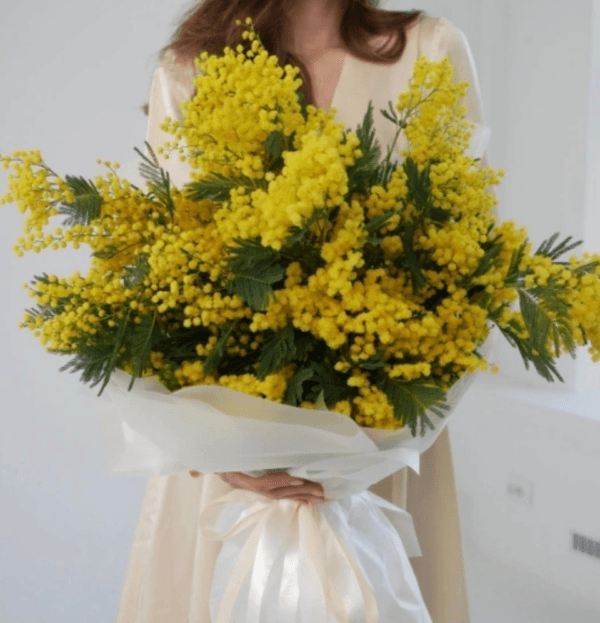 Fresh Mimosa flower Bunch in Ribbed Glass Vase | Same-Day Flower Delivery in Dubai