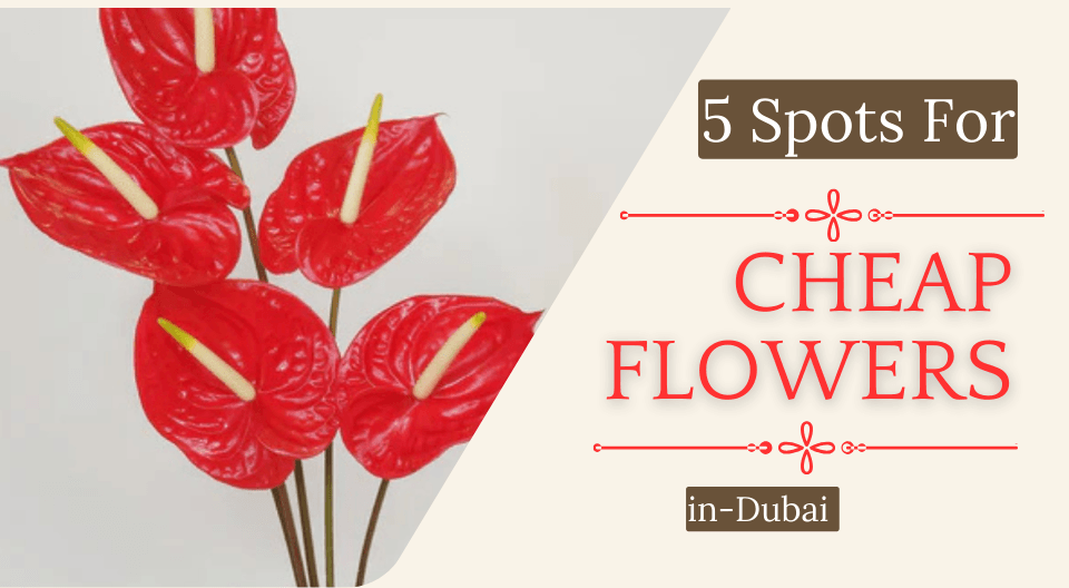 5 spots for cheap flowers in dubai