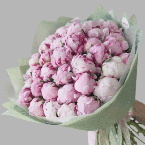 Sarah Bernhardt Peony bouquet with pink ruffled petals – Dubai flower delivery