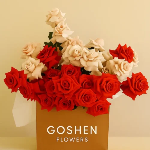 Scarlet whisper is a luxury red and blush rose box bouquet by Goshen Flowers for romantic flower delivery in Dubai, UAE