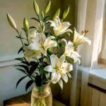 Hand-tied white lily bouquet by Goshen Flower – available in small, medium, and luxe sizes with free message card – perfect for birthdays, anniversaries, sympathy, and weddings in Dubai