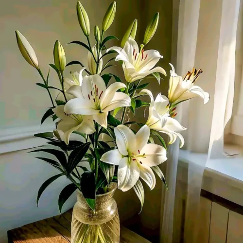 Hand-tied white lily bouquet by Goshen Flower – available in small, medium, and luxe sizes with free message card – perfect for birthdays, anniversaries, sympathy, and weddings in Dubai