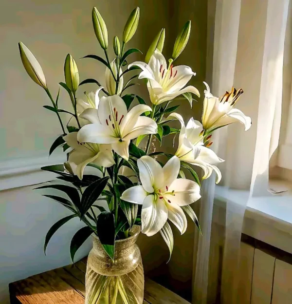 Hand-tied white lily bouquet by Goshen Flower – available in small, medium, and luxe sizes with free message card – perfect for birthdays, anniversaries, sympathy, and weddings in Dubai