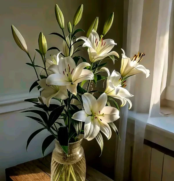 Hand-tied white lily bouquet by Goshen Flower – available in small, medium, and luxe sizes with free message card – perfect for birthdays, anniversaries, sympathy, and weddings in Dubai.